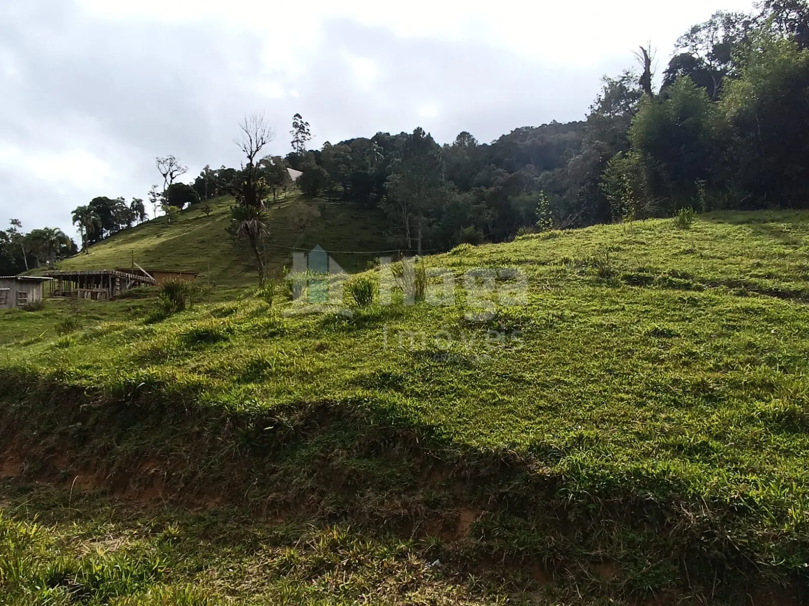 Farm for sale of 5 acres in Angelina, SC, Brazil