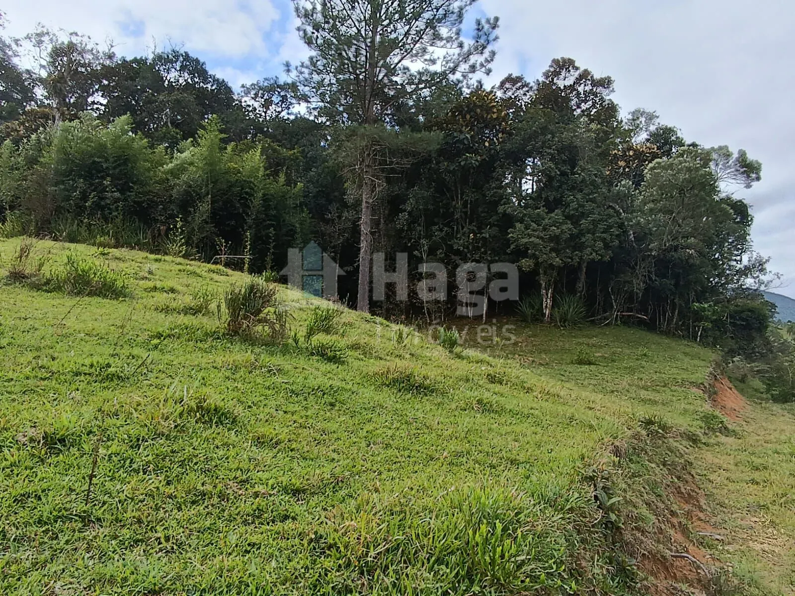 Farm for sale of 5 acres in Angelina, SC, Brazil