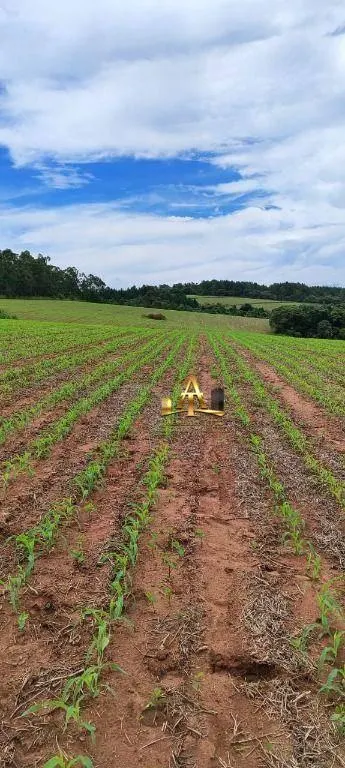 Fazenda à venda de 182 ha em Itapetininga, SP, Brasil