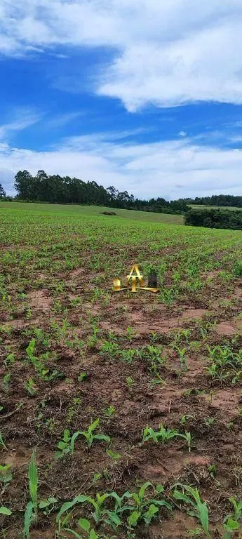 Fazenda à venda de 182 ha em Itapetininga, SP, Brasil