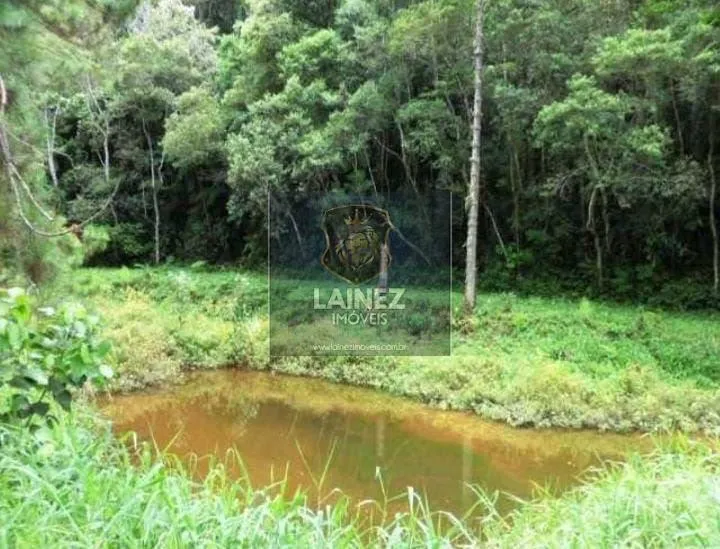 Sítio à venda de 31 ha em Itapecerica da Serra, SP, Brasil