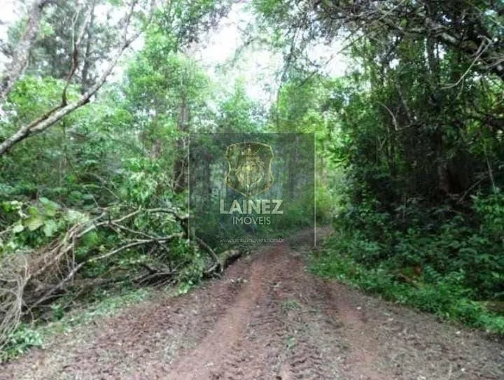Sítio à venda de 31 ha em Itapecerica da Serra, SP, Brasil