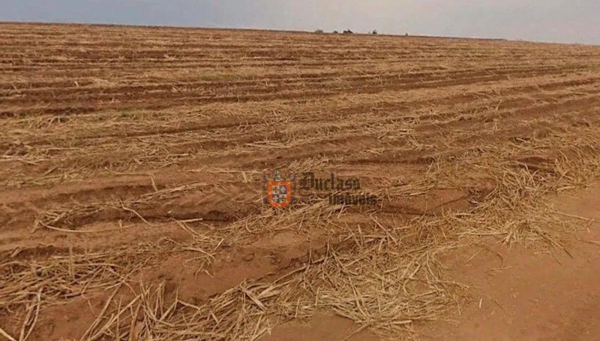 Fazenda à venda de 387 ha em Porto Feliz, SP, Brasil