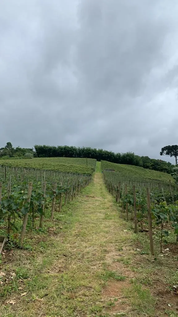 Country home for sale of 7 acres in São Miguel Arcanjo, SP, Brazil