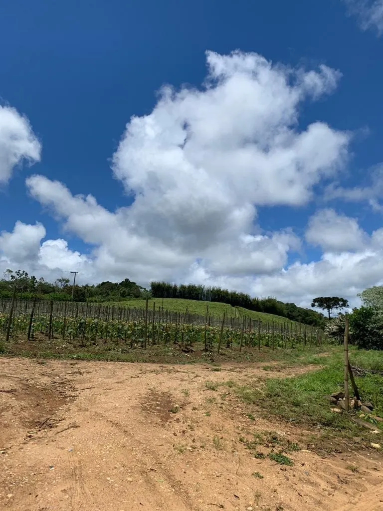 Country home for sale of 7 acres in São Miguel Arcanjo, SP, Brazil