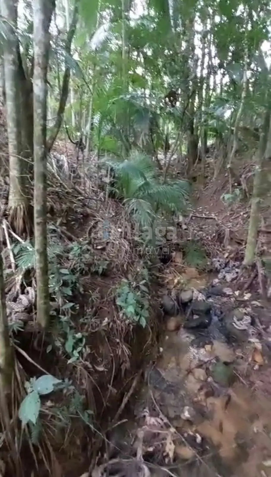 Terreno à venda de 3.410 m² em Águas Mornas, SC, Brasil