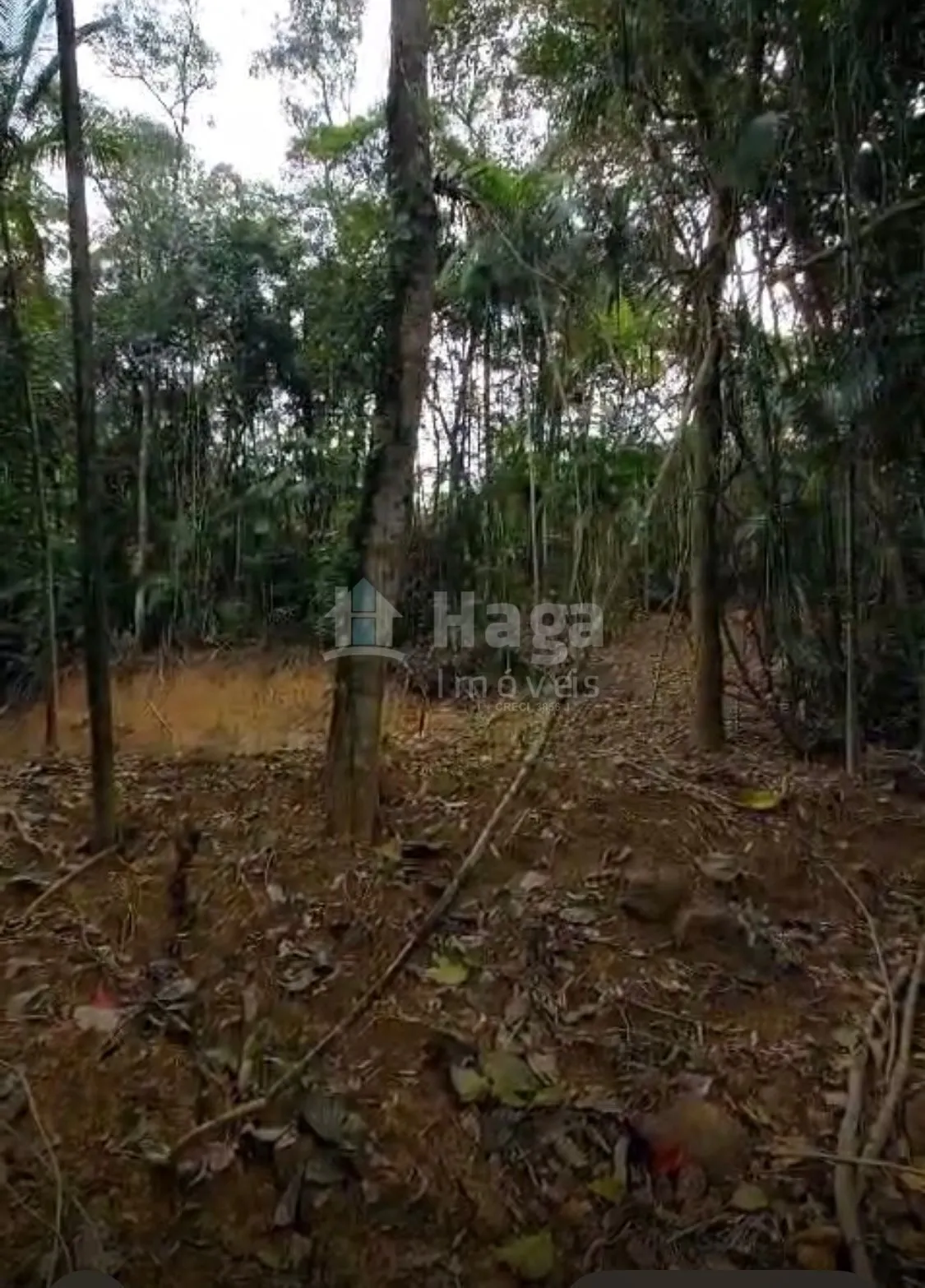 Terreno à venda de 3.410 m² em Águas Mornas, SC, Brasil