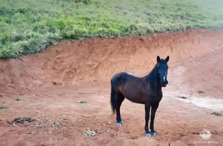 Terreno à venda de 2 ha em São José dos Campos, SP, Brasil