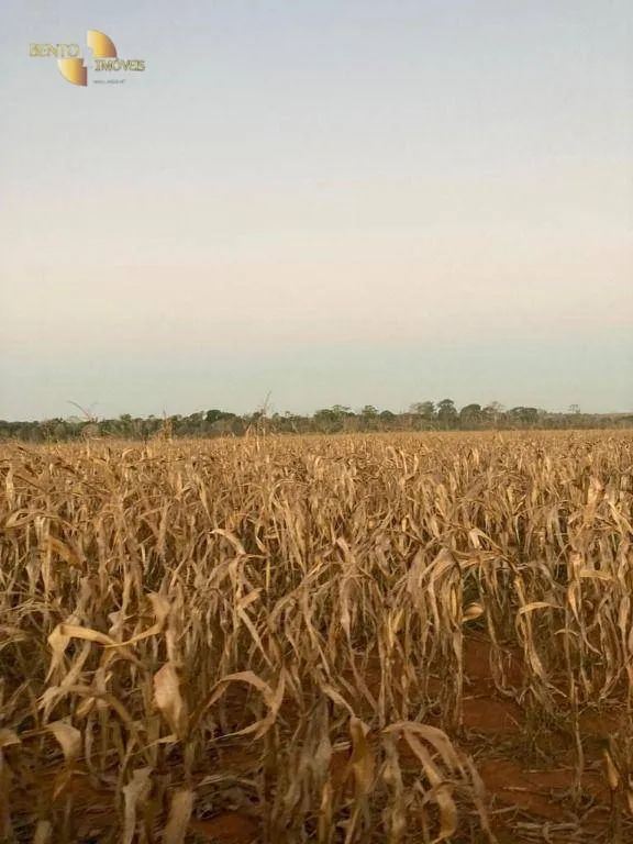 Fazenda à venda de 1.886 ha em Juína, MT, Brasil