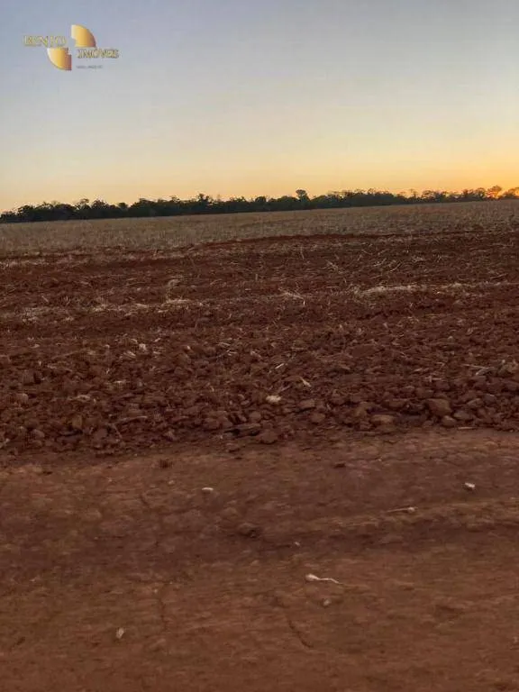 Fazenda à venda de 1.886 ha em Juína, MT, Brasil