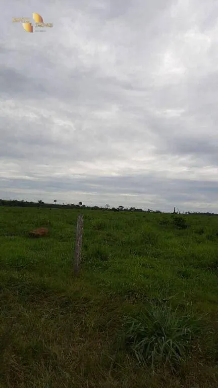 Fazenda à venda de 1.886 ha em Juína, MT, Brasil
