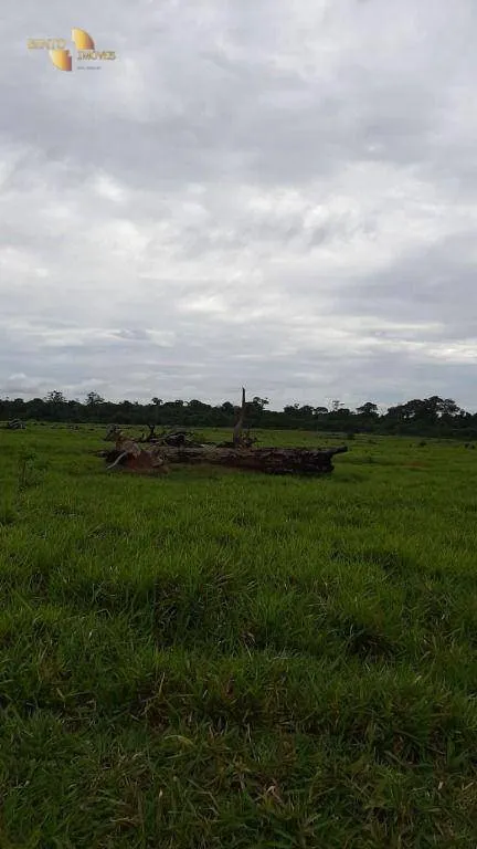 Fazenda à venda de 1.886 ha em Juína, MT, Brasil