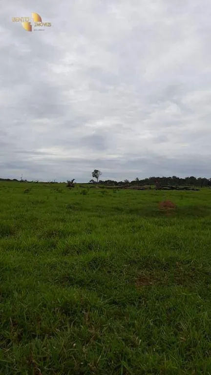 Fazenda à venda de 1.886 ha em Juína, MT, Brasil