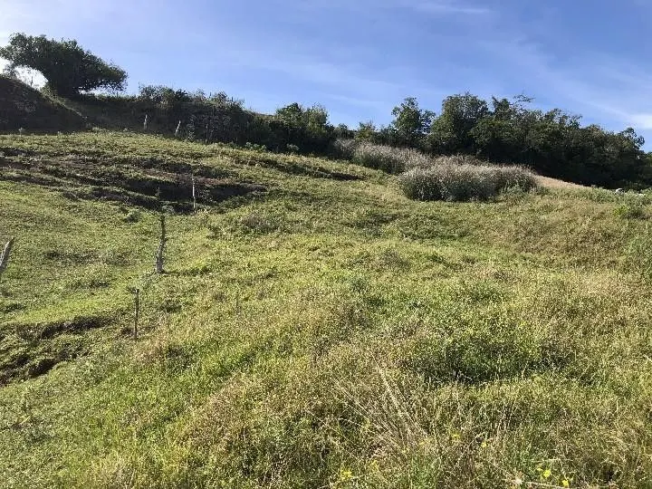 Sítio à venda de 2 ha em Santo Antônio da Patrulha, RS, Brasil