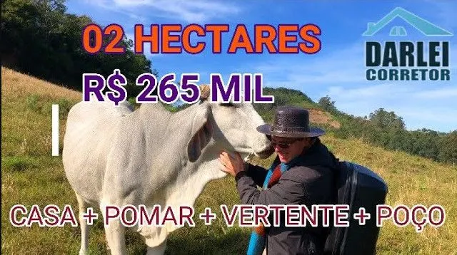 Sítio à venda de 2 ha em Santo Antônio da Patrulha, RS, Brasil