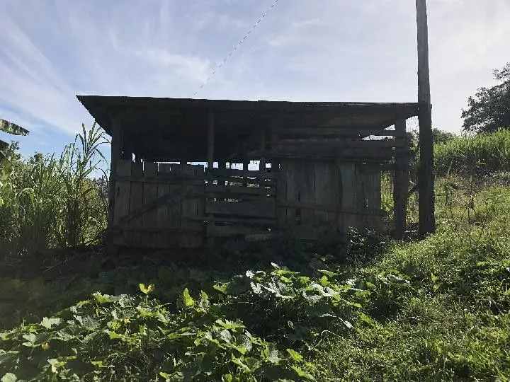 Sítio à venda de 2 ha em Santo Antônio da Patrulha, RS, Brasil