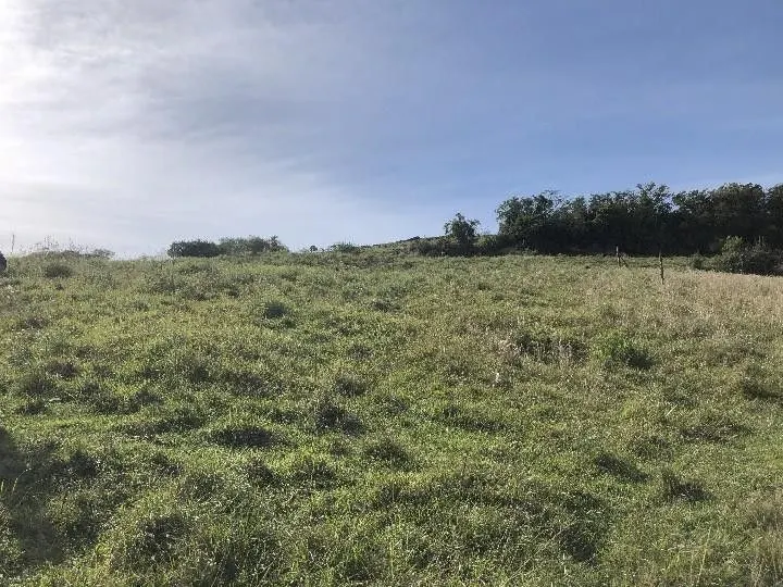 Sítio à venda de 2 ha em Santo Antônio da Patrulha, RS, Brasil