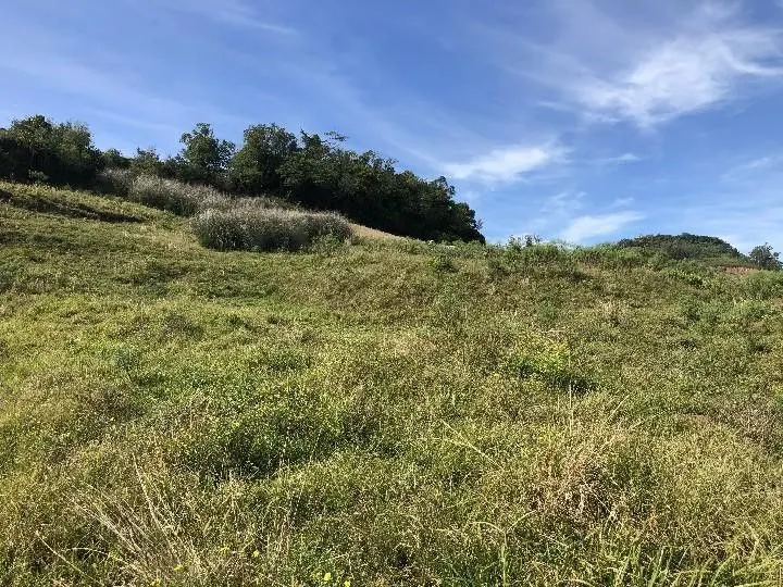 Sítio à venda de 2 ha em Santo Antônio da Patrulha, RS, Brasil