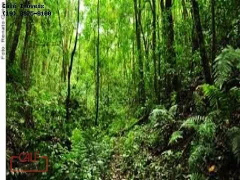 Fazenda à venda de 1.000 ha em Cananéia, SP, Brasil