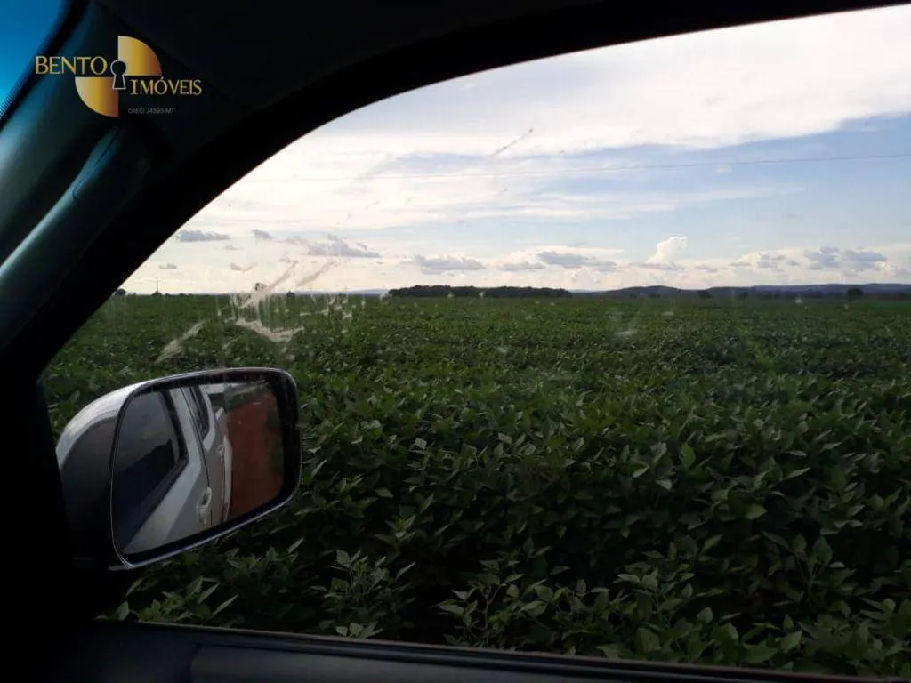 Fazenda à venda de 715 ha em Poconé, MT, Brasil