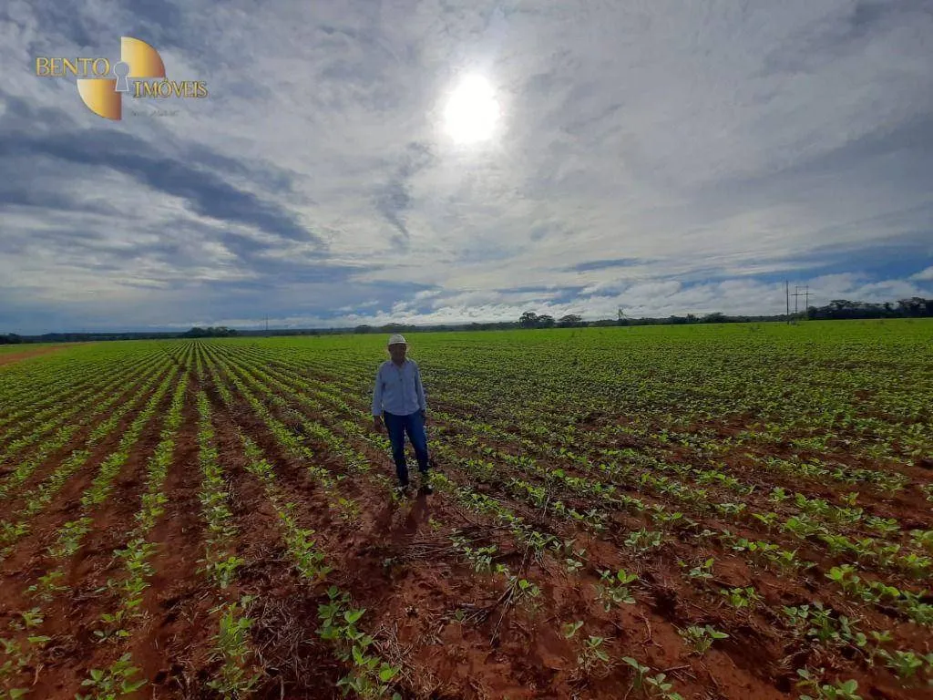 Fazenda à venda de 715 ha em Poconé, MT, Brasil