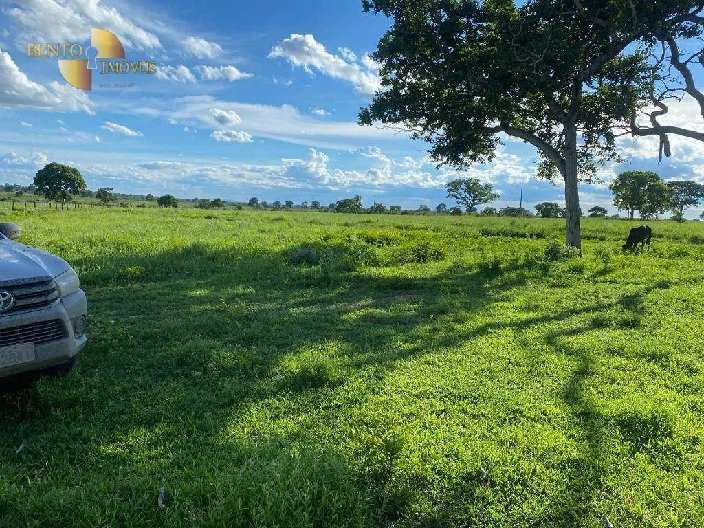 Fazenda à venda de 792 ha em Poconé, MT, Brasil
