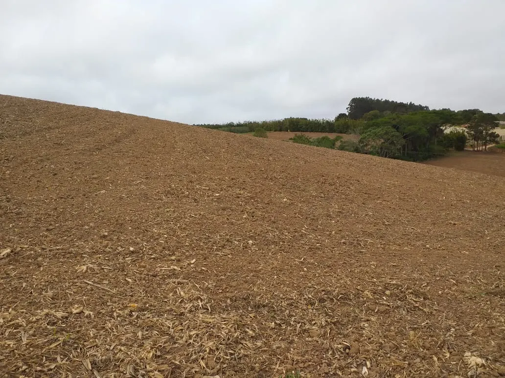 Small farm for sale of 31 acres in São Miguel Arcanjo, SP, Brazil