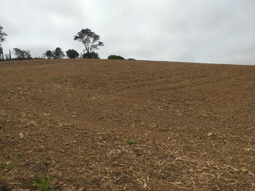 Small farm for sale of 31 acres in São Miguel Arcanjo, SP, Brazil