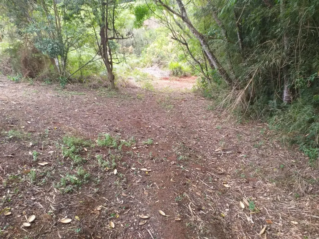 Small farm for sale of 31 acres in São Miguel Arcanjo, SP, Brazil