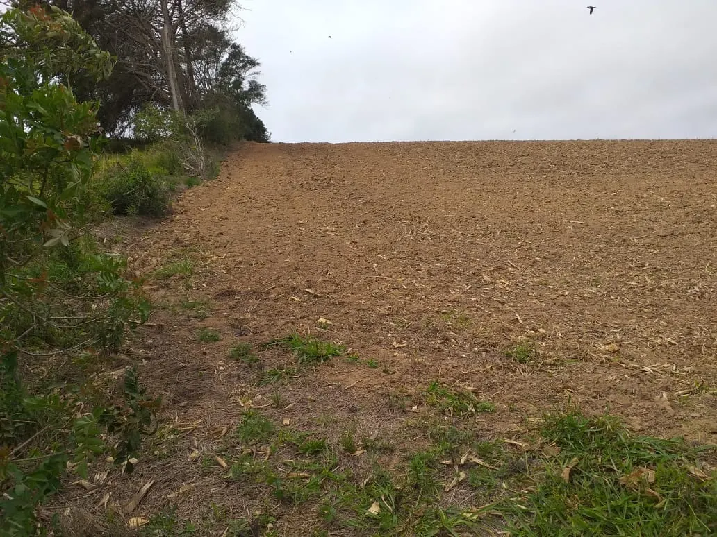 Small farm for sale of 31 acres in São Miguel Arcanjo, SP, Brazil