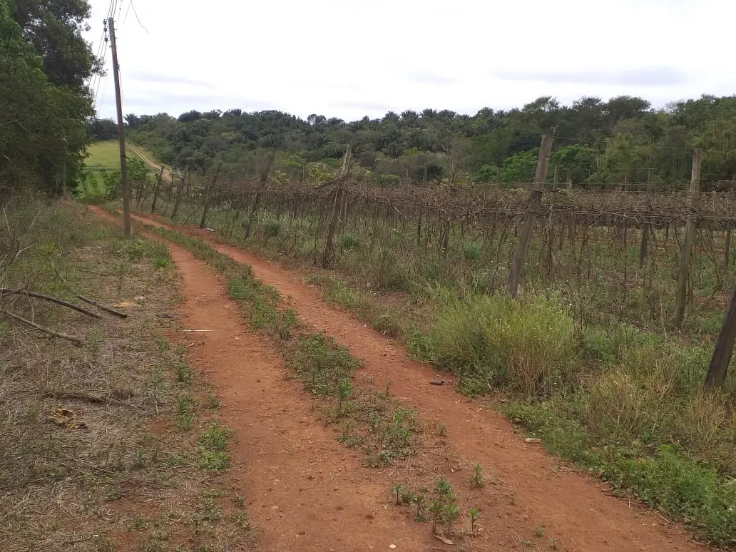 Small farm for sale of 31 acres in São Miguel Arcanjo, SP, Brazil