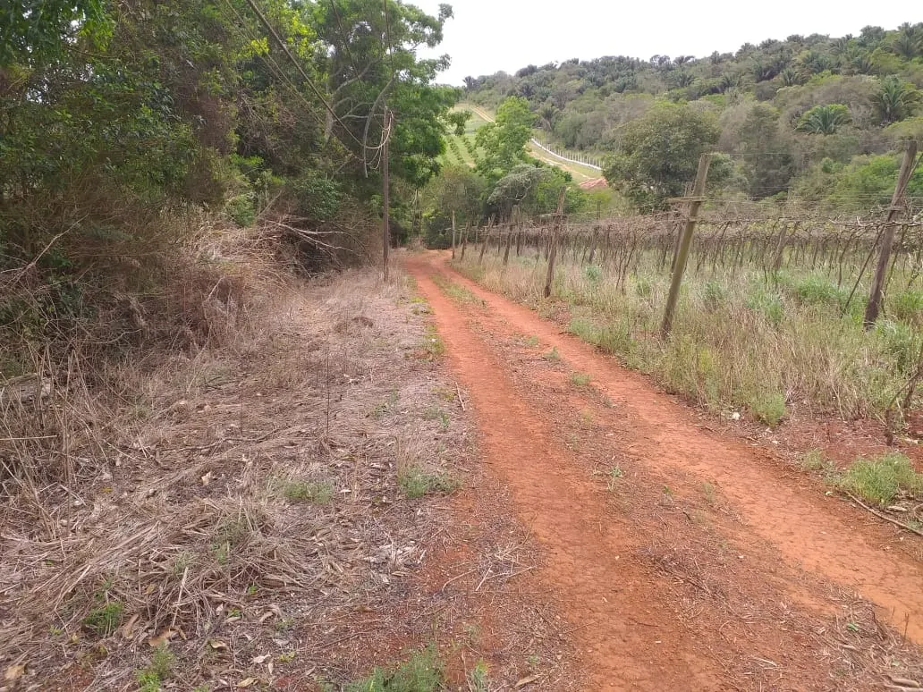 Small farm for sale of 31 acres in São Miguel Arcanjo, SP, Brazil