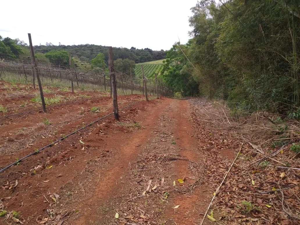 Small farm for sale of 31 acres in São Miguel Arcanjo, SP, Brazil