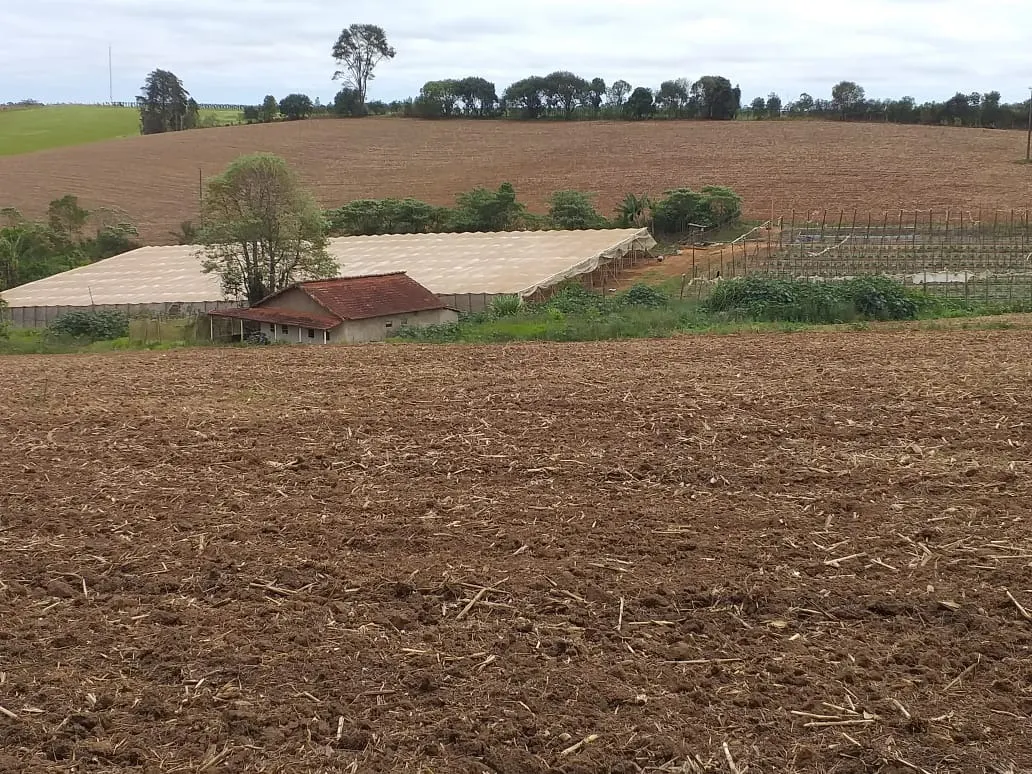 Small farm for sale of 31 acres in São Miguel Arcanjo, SP, Brazil