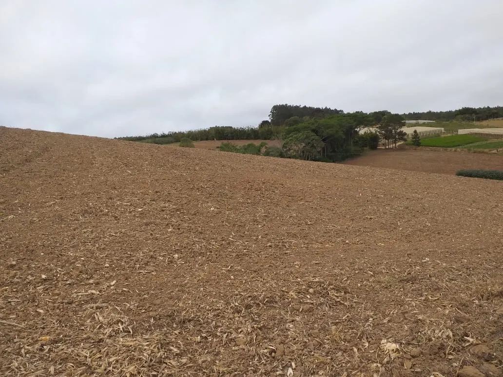 Small farm for sale of 31 acres in São Miguel Arcanjo, SP, Brazil