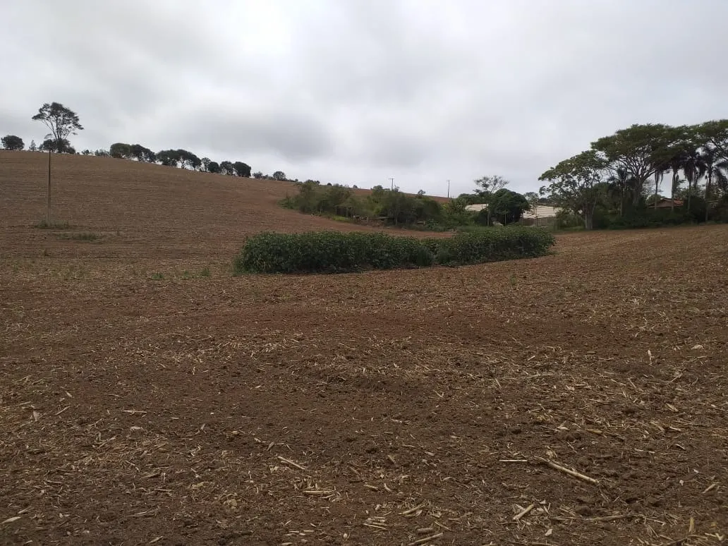 Small farm for sale of 31 acres in São Miguel Arcanjo, SP, Brazil