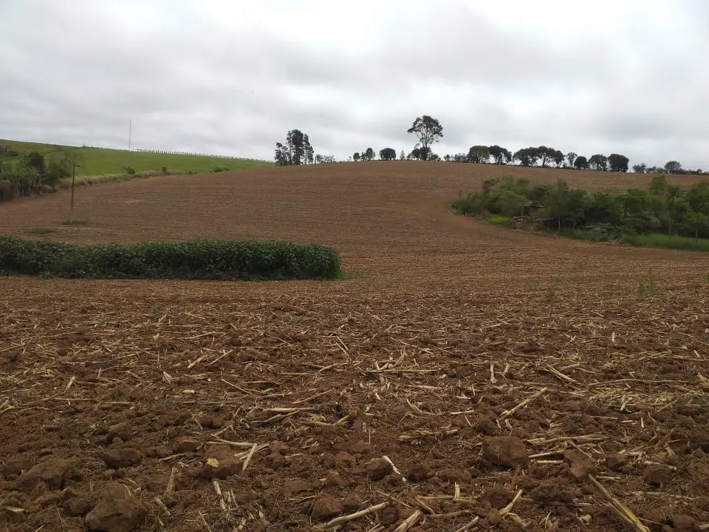 Small farm for sale of 31 acres in São Miguel Arcanjo, SP, Brazil