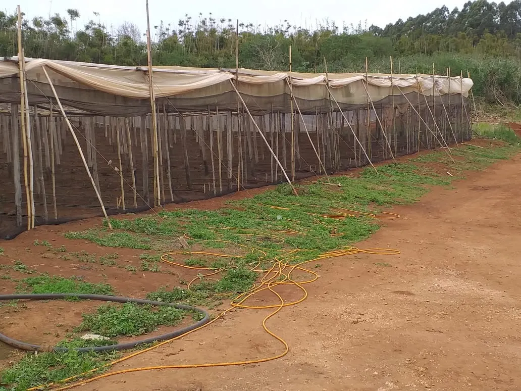 Small farm for sale of 31 acres in São Miguel Arcanjo, SP, Brazil