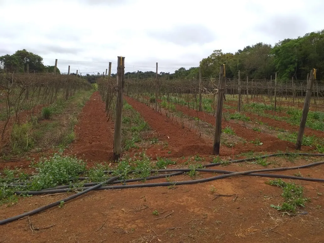 Small farm for sale of 31 acres in São Miguel Arcanjo, SP, Brazil