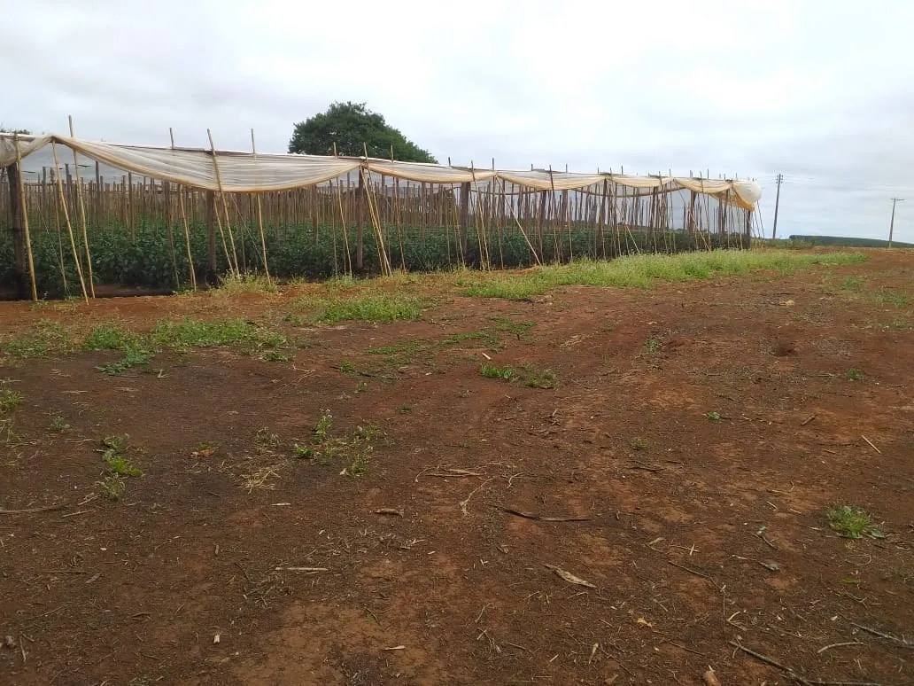Small farm for sale of 31 acres in São Miguel Arcanjo, SP, Brazil
