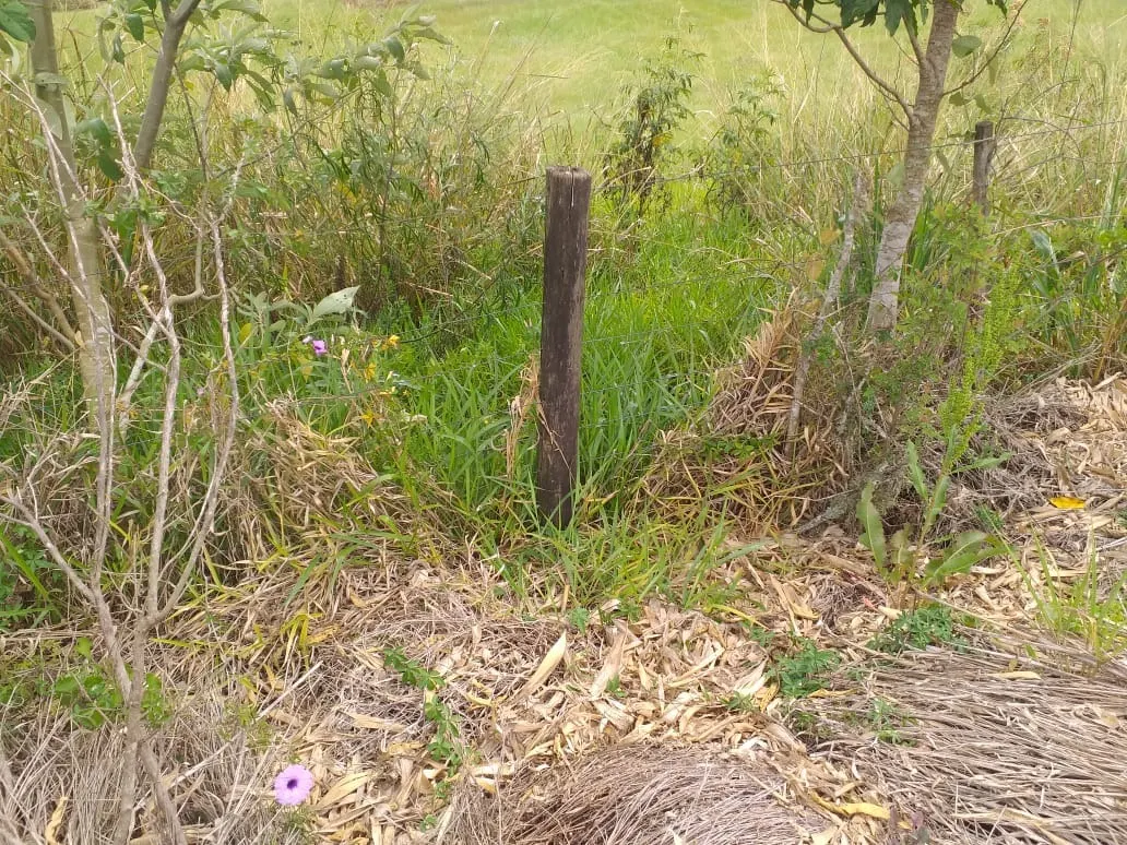 Small farm for sale of 31 acres in São Miguel Arcanjo, SP, Brazil