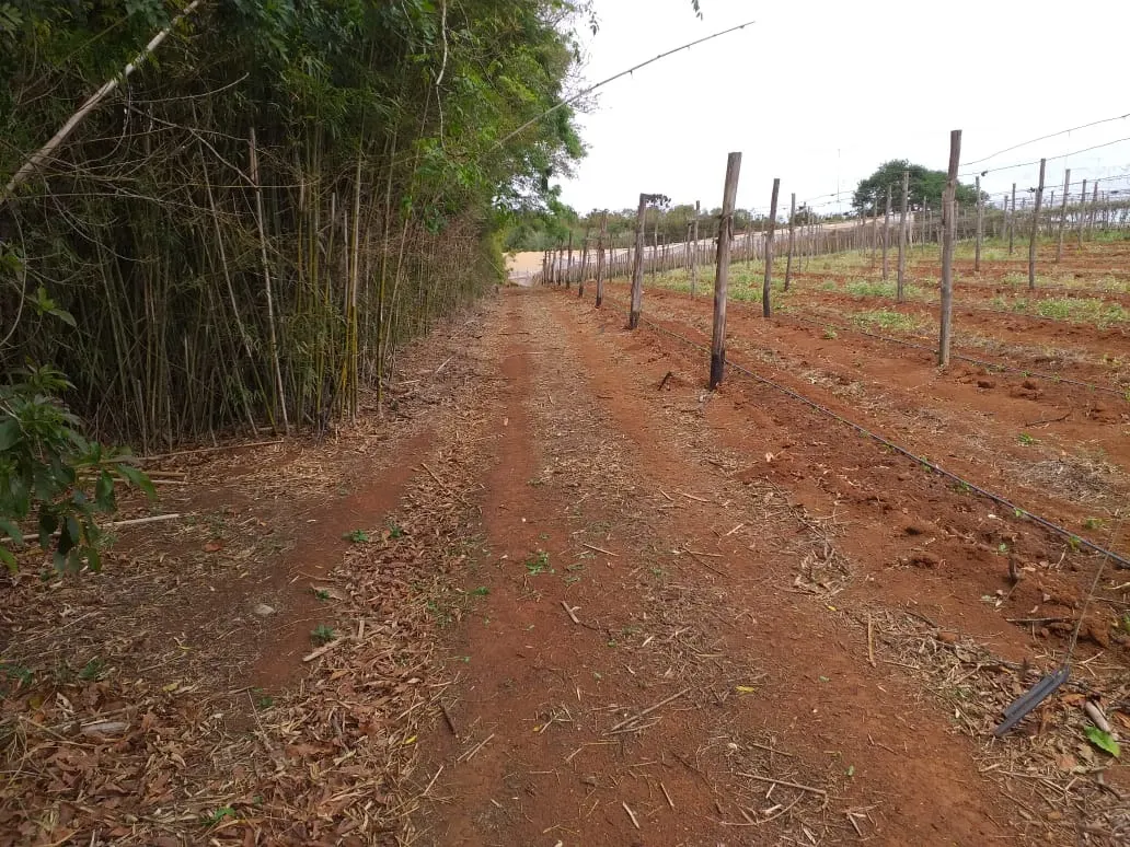 Small farm for sale of 31 acres in São Miguel Arcanjo, SP, Brazil