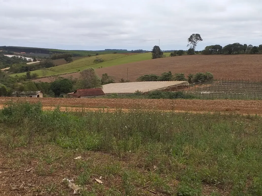 Small farm for sale of 31 acres in São Miguel Arcanjo, SP, Brazil