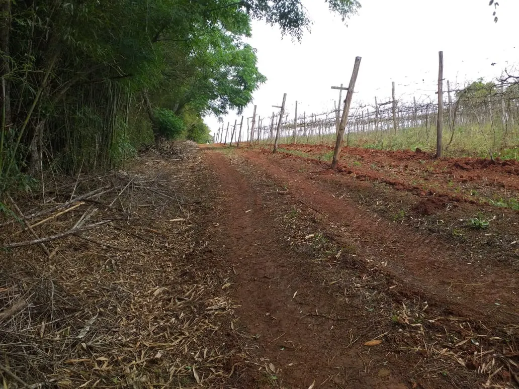 Small farm for sale of 31 acres in São Miguel Arcanjo, SP, Brazil