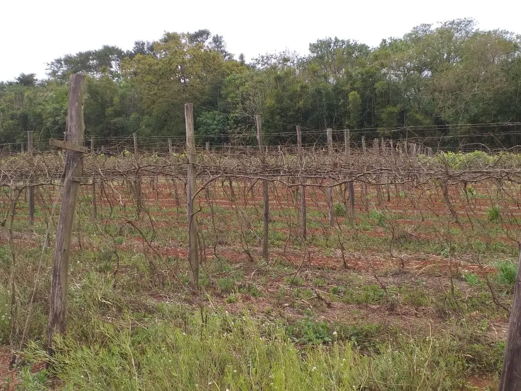 Small farm for sale of 31 acres in São Miguel Arcanjo, SP, Brazil