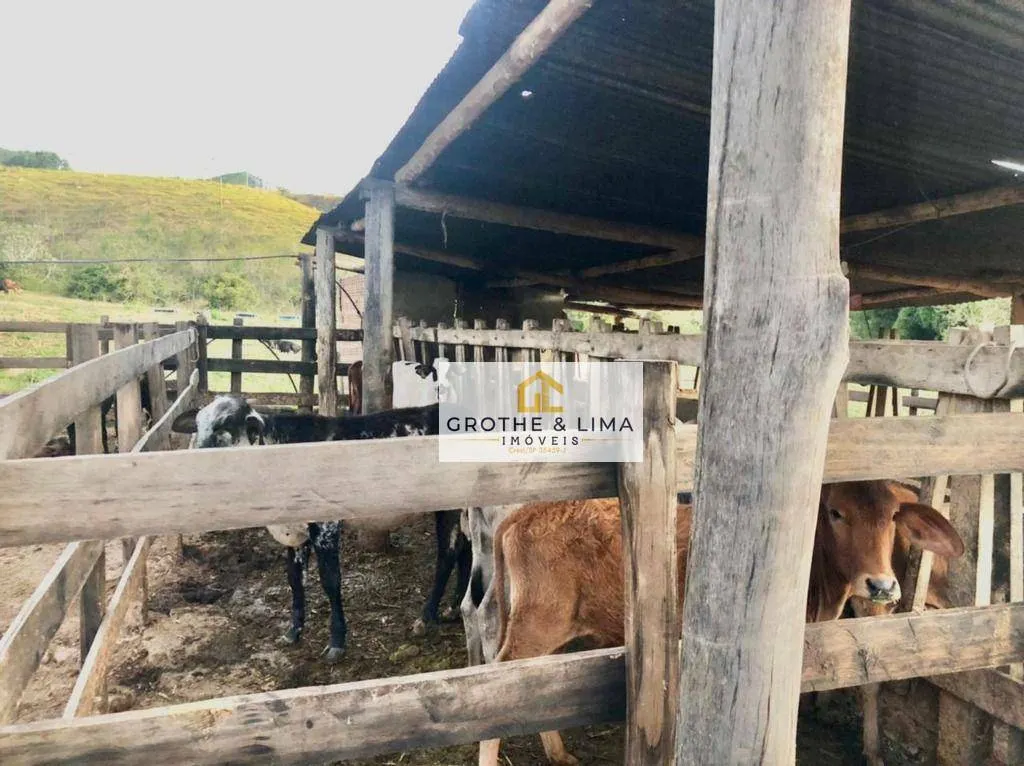 Fazenda à venda de 363 ha em Cachoeira Paulista, SP, Brasil