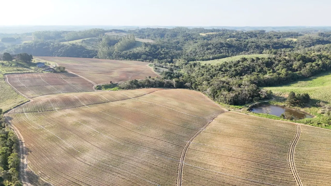Fazenda à venda de 121 ha em São Miguel Arcanjo, SP, Brasil