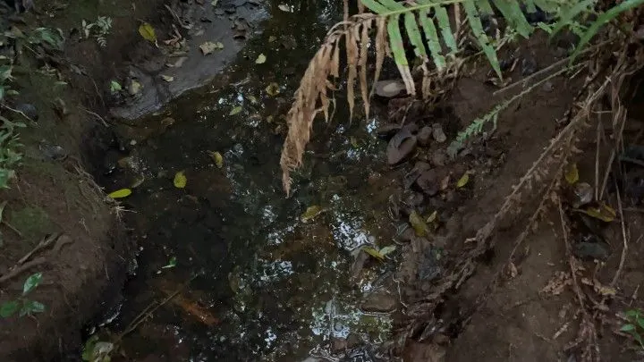 Chácara à venda de 4.800 m² em Taquara, RS, Brasil