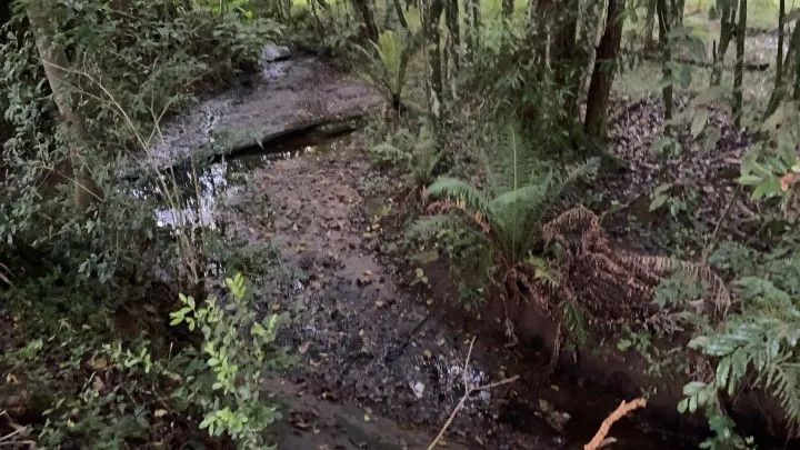 Chácara à venda de 4.800 m² em Taquara, RS, Brasil