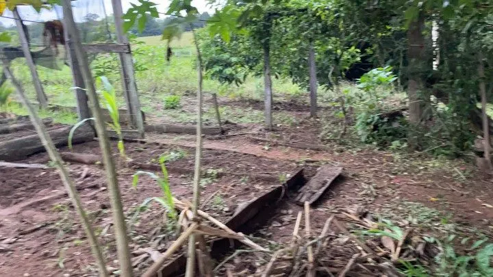 Chácara à venda de 4.800 m² em Taquara, RS, Brasil